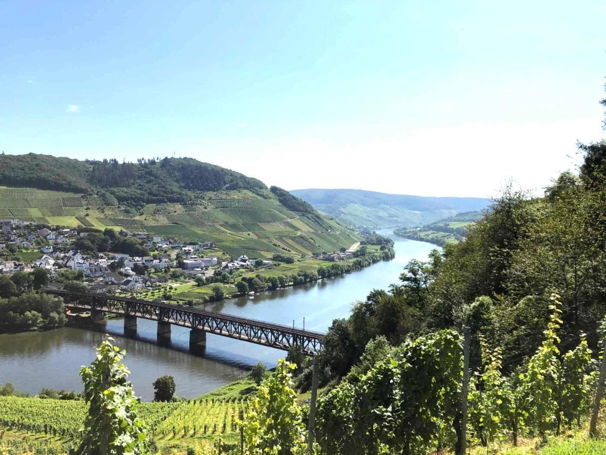 Ferienhaus Malu In Bremm Kültér fotó